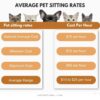 Budgeting for 2026 Cat Sitting Services in Providence Rhode Island