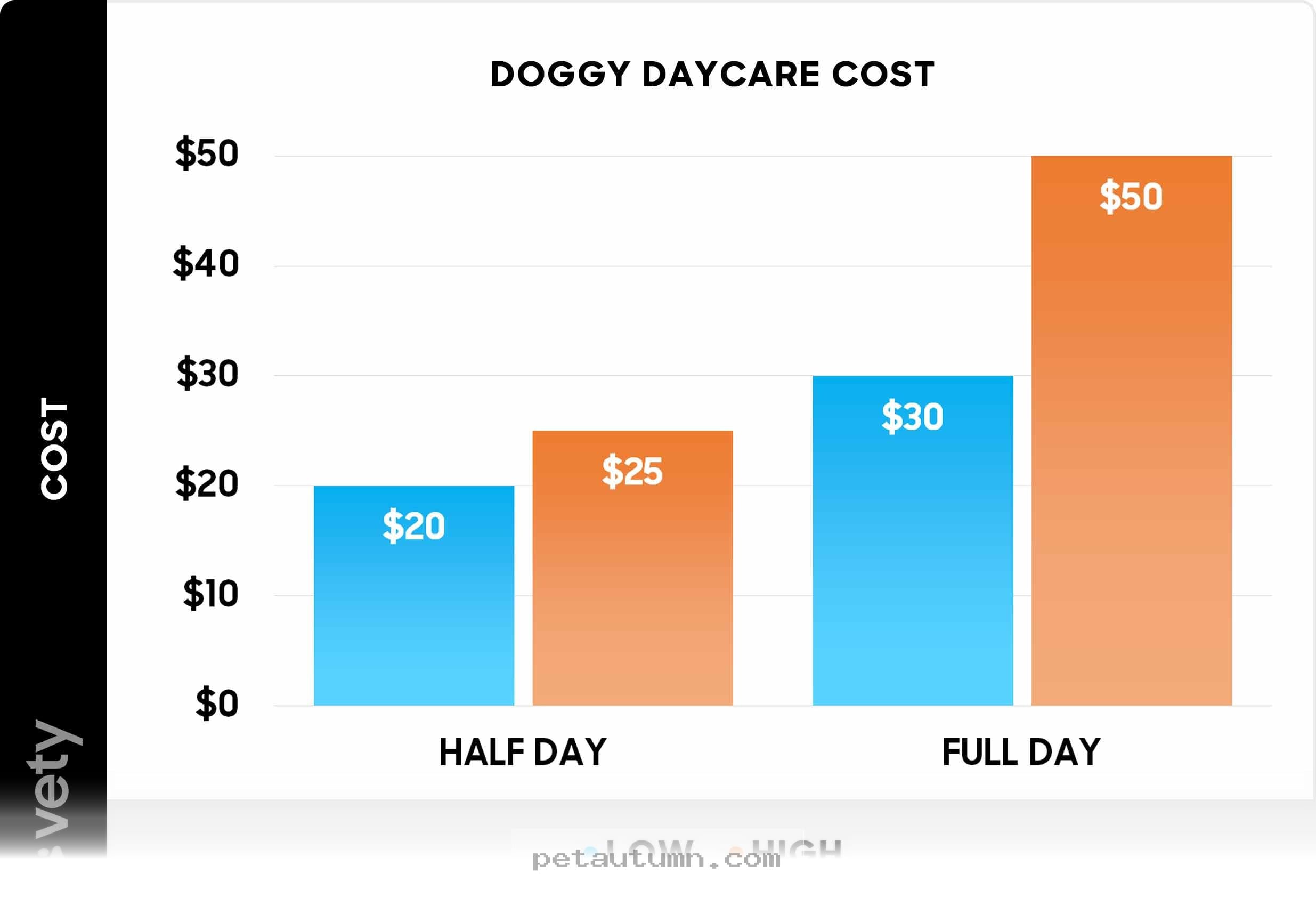 Budgeting for 2026 Lincoln Dog Daycare Rates for Your Furry Friend