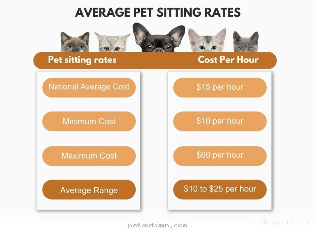 Budgeting for 2026 Pet House Sitting Services in Aurora Colorado