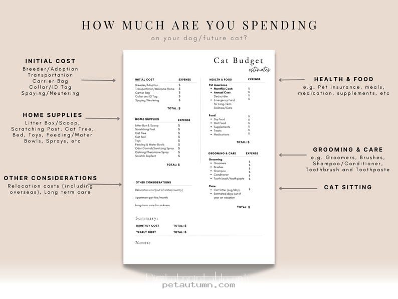 Budgeting for Your 2026 Akron Cat Sitting Services Made Simple