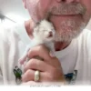 Essential Guide for Raising Your New Kitten Throughout 2026 and Beyond