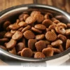 Essential Ways to Improve Your Dog’s Kibble Diet in 2026