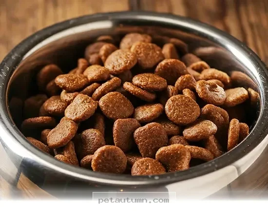 Essential Ways to Improve Your Dog’s Kibble Diet in 2026
