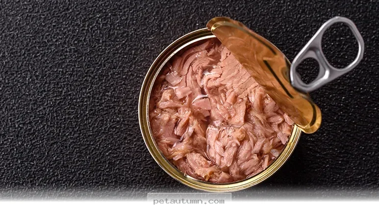 Expert Advice on Why 5 Popular Fish Choices May Harm Pets in 2026