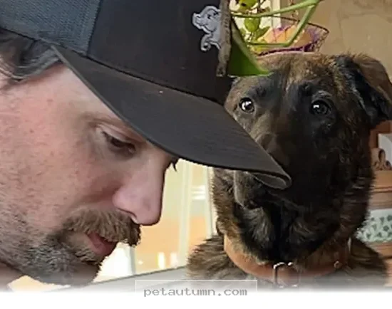 Finding Your Perfect New Puppy in 2026 With These 5 Simple Tips