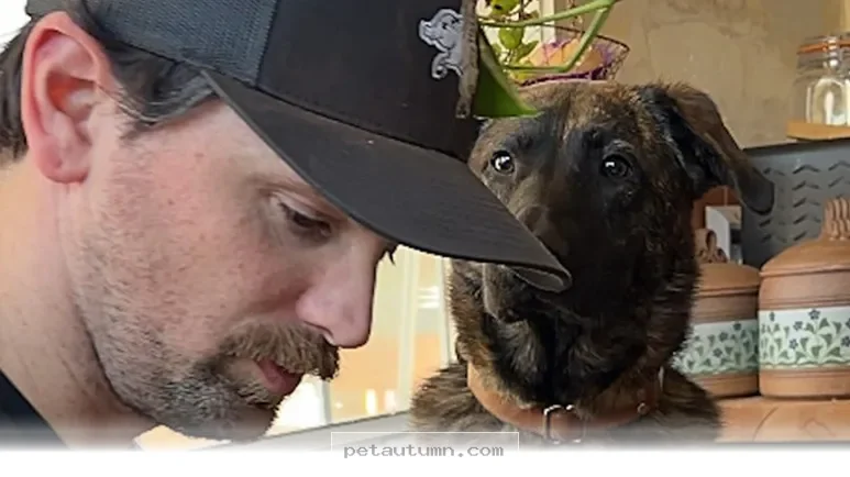 Finding Your Perfect New Puppy in 2026 With These 5 Simple Tips