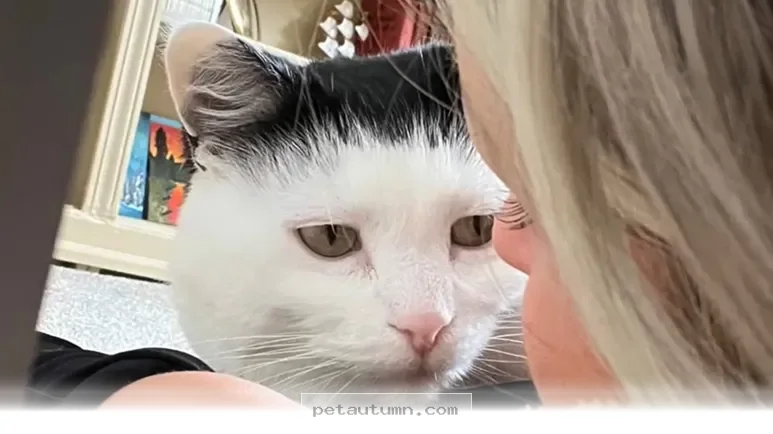 How 7 Rescued Pets Found Their Forever Homes During the 2026 Winter