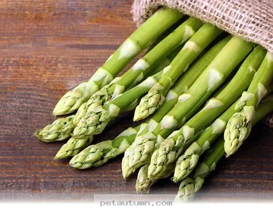 Surprising Health Benefits of Asparagus for Your Dog in 2026