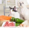 The Best 2026 Guide to Choosing Healthy Meals for Your Beloved Dog