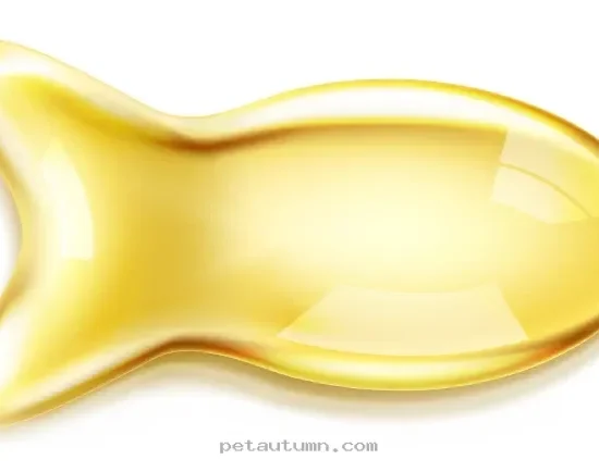Top 5 Pet Supplements to Support Your Furry Friend Throughout 2026