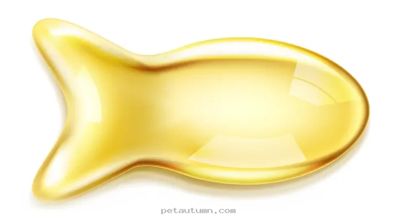 Top 5 Pet Supplements to Support Your Furry Friend Throughout 2026