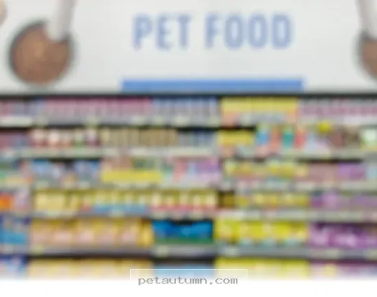 Best Pet Food Brands You Can Truly Trust for Your Pets in 2026