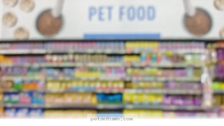Best Pet Food Brands You Can Truly Trust for Your Pets in 2026