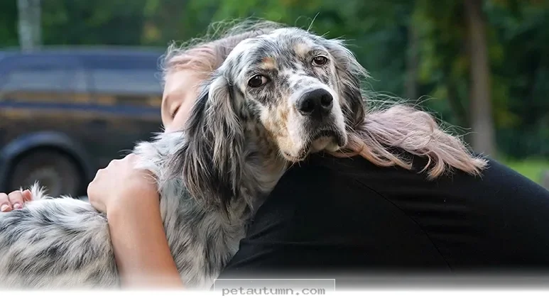 Better Ways to Care for Your Pets in 2026 for 10 Common Habits