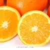 Can My Dog Eat Lemons 7 Essential Safety Tips for Pet Owners in 2026