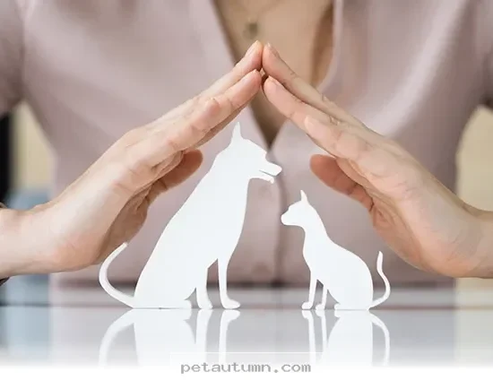 Essential 2026 Pet Health Tips Every Owner Needs to Know Today