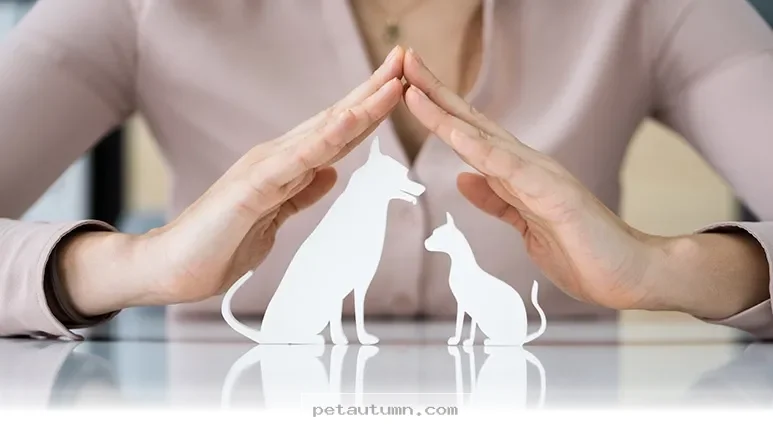 Essential 2026 Pet Health Tips Every Owner Needs to Know Today