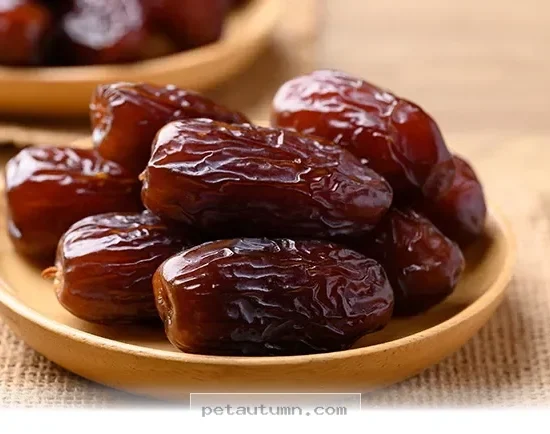 Healthy Facts About This Unique Fruit Your Dog Can Enjoy in 2026