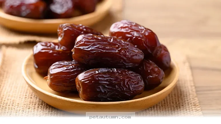 Healthy Facts About This Unique Fruit Your Dog Can Enjoy in 2026