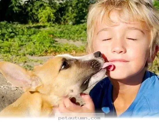 How 1 Caring Young Boy Saved All His Beloved Pets in 2026