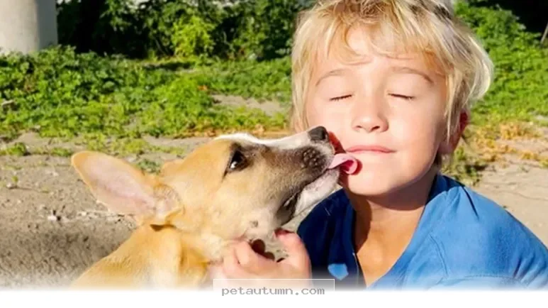 How 1 Caring Young Boy Saved All His Beloved Pets in 2026