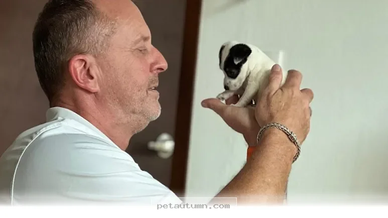 How 1 Miracle Puppy Defied All Odds to Thrive in Your Home by 2026