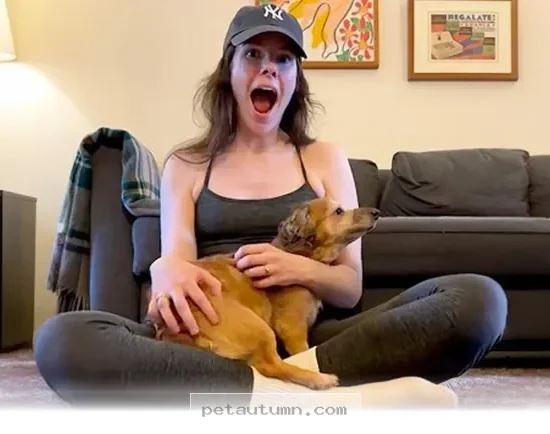 How 1 Rescued Dog Found a New Path to Happiness and Trust in 2026