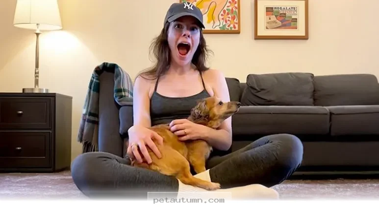 How 1 Rescued Dog Found a New Path to Happiness and Trust in 2026