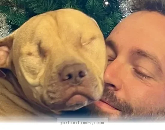 How 1 Rescued Shelter Dog Found a Loving Home in 2026