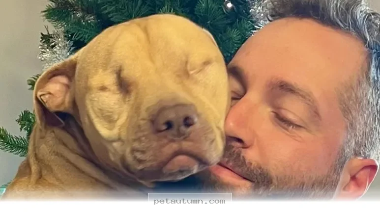 How 1 Rescued Shelter Dog Found a Loving Home in 2026