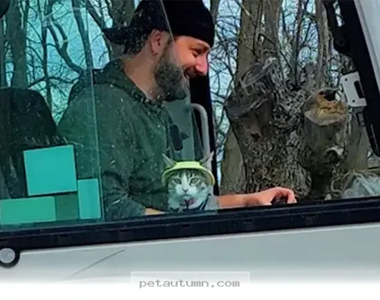 How 1 Special Cat Softened Up My Dad in Our 2026 Pet Life Guide