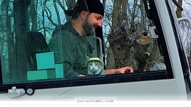 How 1 Special Cat Softened Up My Dad in Our 2026 Pet Life Guide