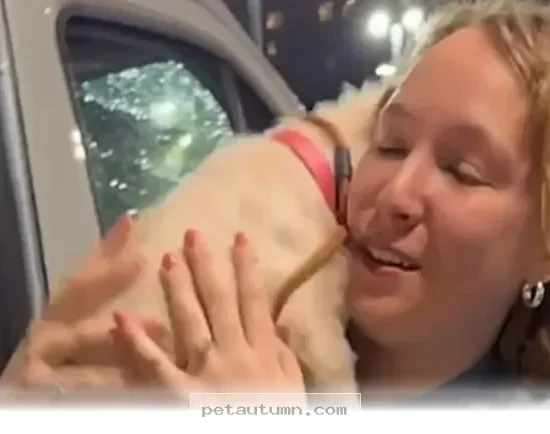 How 1 Special Shelter Dog Found a Loving Forever Home in 2026