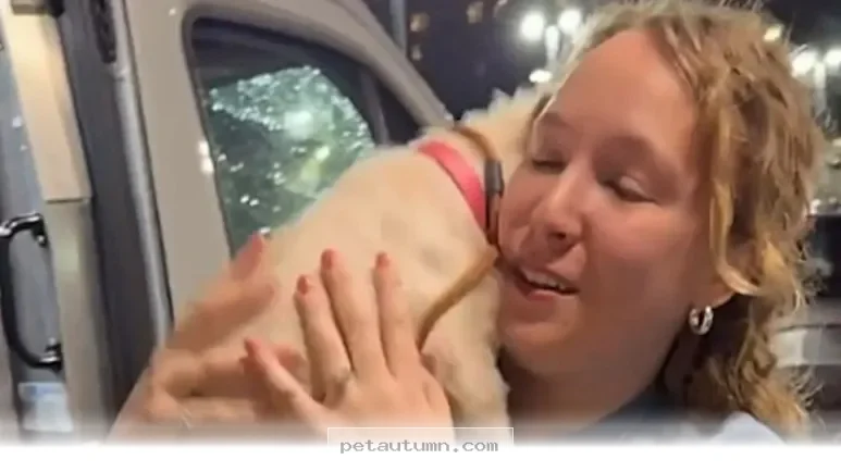 How 1 Special Shelter Dog Found a Loving Forever Home in 2026