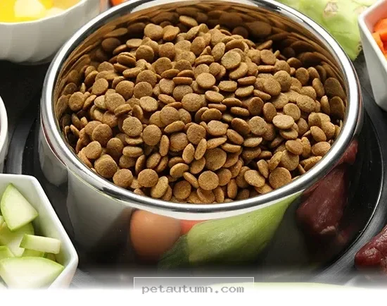 How to Support Your Pet With Cancer Through 10 Healthy 2026 Meal Tips