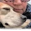 How to Welcome Your New 2026 Rescue Dog Into Your Happy Home Life