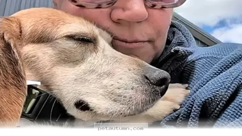 How to Welcome Your New 2026 Rescue Dog Into Your Happy Home Life