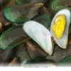 Ways Green Lipped Mussel Benefits Your Dog’s Joint Health in 2026
