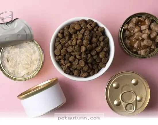 Are 5 Ways to Choose Better Pet Nutrition for Your Dog in 2026 Today