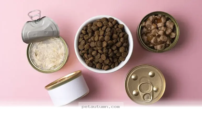 Are 5 Ways to Choose Better Pet Nutrition for Your Dog in 2026 Today