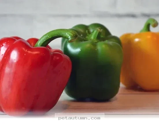Best Fruits to Boost Your Pet Health and Vitality Throughout 2026
