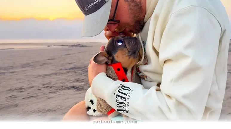 Help Your 1 Rescued Pet Adjust to a Loving Home Life in 2026