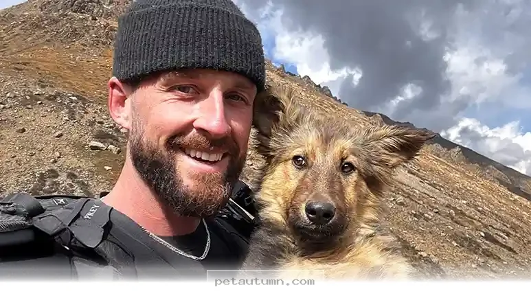 How 1 Friendly Hiker Helped a Lost Mountain Dog Stay Safe in 2026