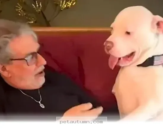 How 1 Resilient Pup Overcame All the Odds to Thrive in 2026