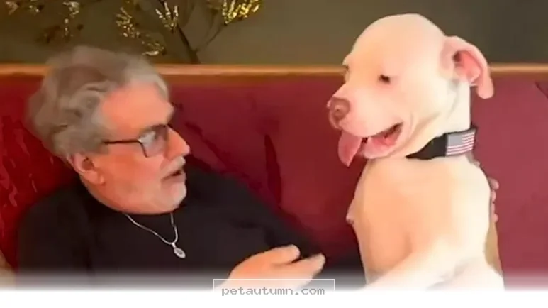 How 1 Resilient Pup Overcame All the Odds to Thrive in 2026