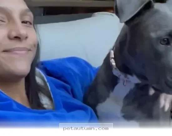 How 1 Special Pup Inspired a Nationwide Pet Care Movement in 2026
