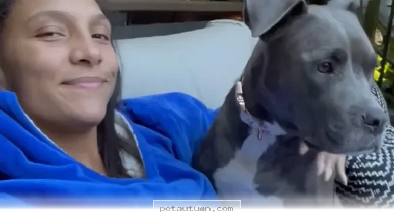 How 1 Special Pup Inspired a Nationwide Pet Care Movement in 2026