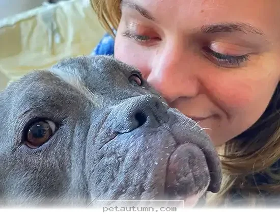 How 5 Rescue Dogs Found Their Forever Homes During the 2026 Season