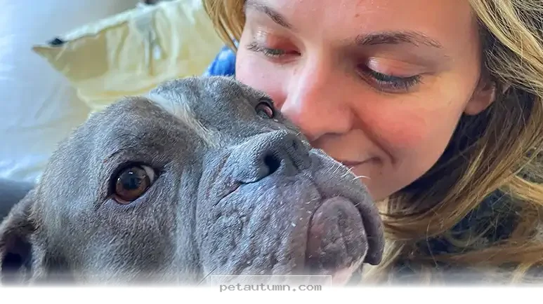 How 5 Rescue Dogs Found Their Forever Homes During the 2026 Season