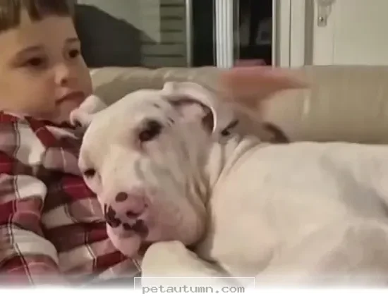 How 5 Simple Ways to Strengthen Your Bond With Your Pet in 2026